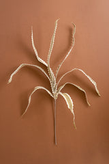 Botanica #3656 (Box of 6)