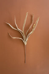 Botanica #3656 (Box of 6)