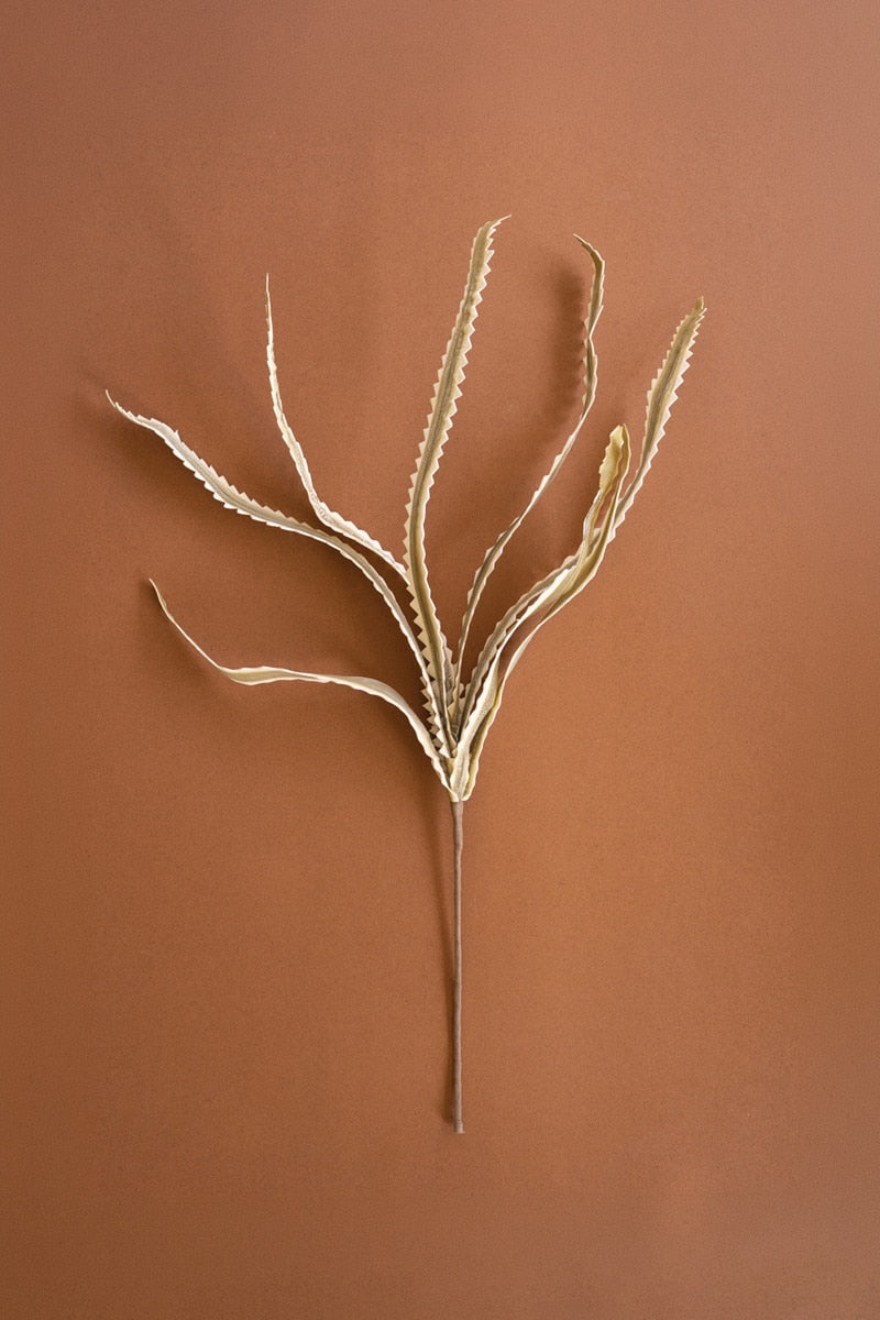 Botanica #3656 (Box of 6)