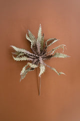 A dried decorative plant stem with spiky, jagged leaves in muted beige, gray-green, and dusty mauve tones, arranged against a solid terracotta background.