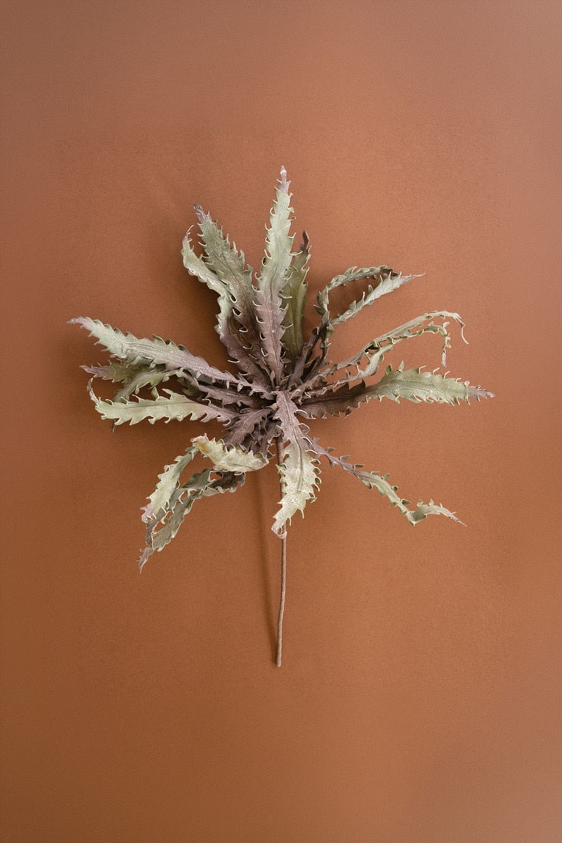 A dried decorative plant stem with spiky, jagged leaves in muted beige, gray-green, and dusty mauve tones, arranged against a solid terracotta background.