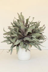 Faux plant in a white pot on a light background