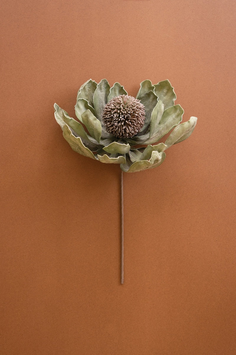 A dried protea flower stem with muted green-gray leaves and a brown textured center, displayed against a solid terracotta background.