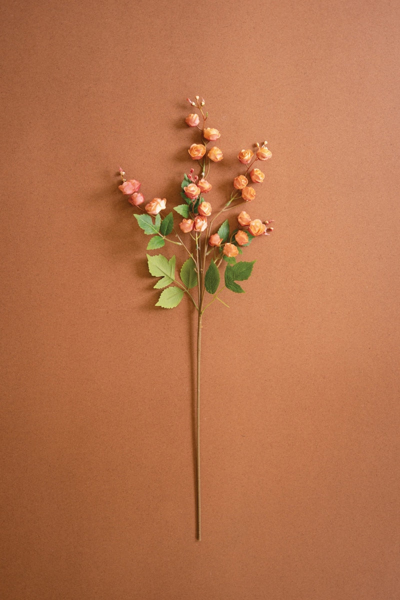 Botanica #3697 (Box of 6)