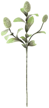Botanica #2065 (Box of 6)