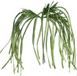 Artificial green plant with long leaves on a white background