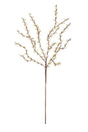 Decorative branch with small white buds on a white background