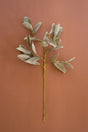 A single artificial eucalyptus branch with muted sage-green leaves and a yellow stem, displayed against a solid terracotta background.