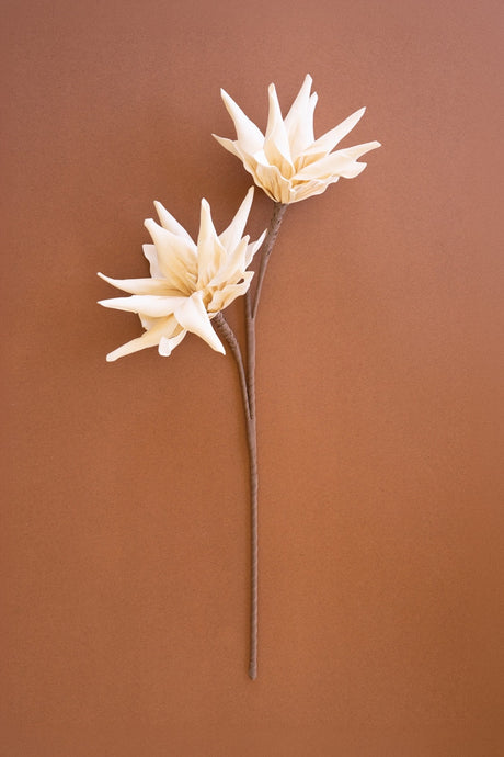 Two cream-colored artificial daisy-like flowers on long brown stems, arranged vertically against a solid warm brown background.