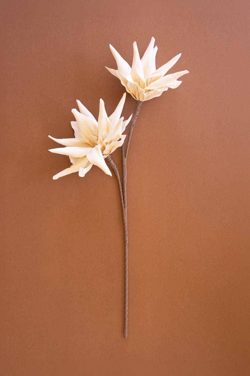 Two cream-colored artificial daisy-like flowers on long brown stems, arranged vertically against a solid warm brown background.