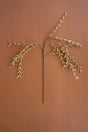 A dried decorative branch with delicate pale beige leaves on a long brown stem, arranged symmetrically against a solid warm terracotta background.