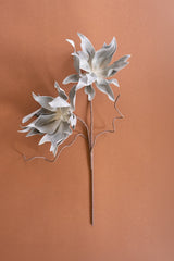 Two dried artificial flower stems with pale gray-white petals and brown twigs, displayed against a solid terracotta background.