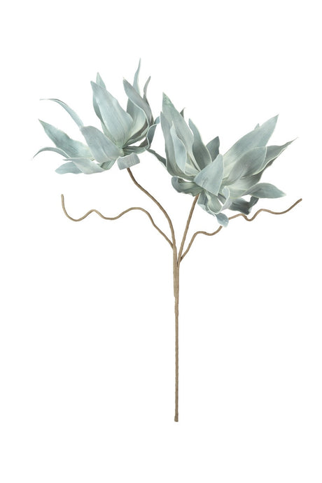 Botanica #2547 (Box of 6)