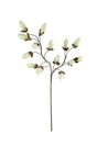 Artificial flower branch with green leaves on a white background