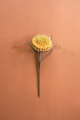 A single dried artificial flower stem with a round, textured golden-yellow bloom and thin dark wire-like accents, centered on a warm terracotta background.