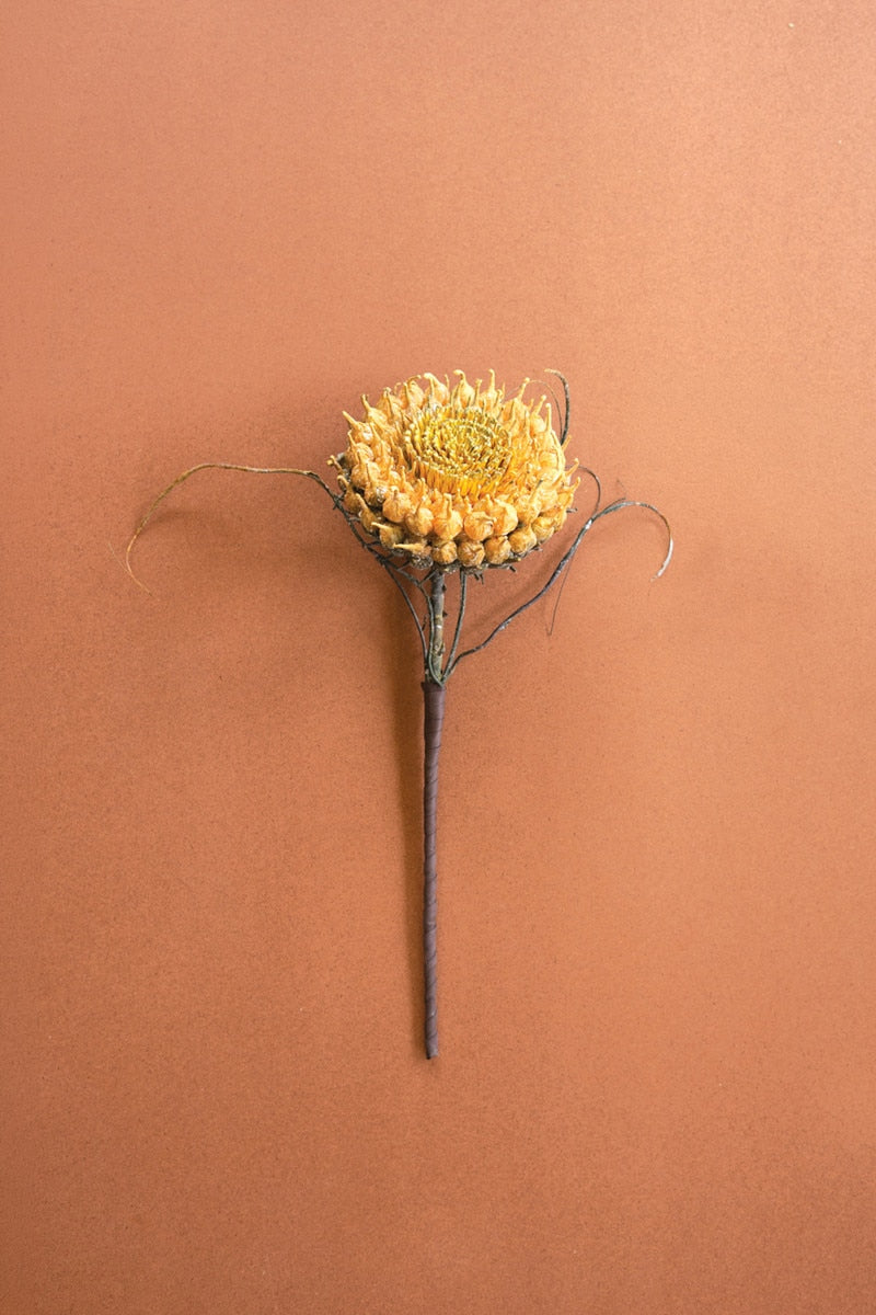 A single dried artificial flower stem with a round, textured golden-yellow bloom and thin dark wire-like accents, centered on a warm terracotta background.