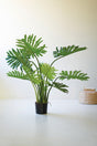 Potted artificial philodendron on a white surface with a light background