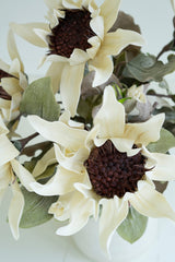 Close-up of white flowers with brown centers on a light background