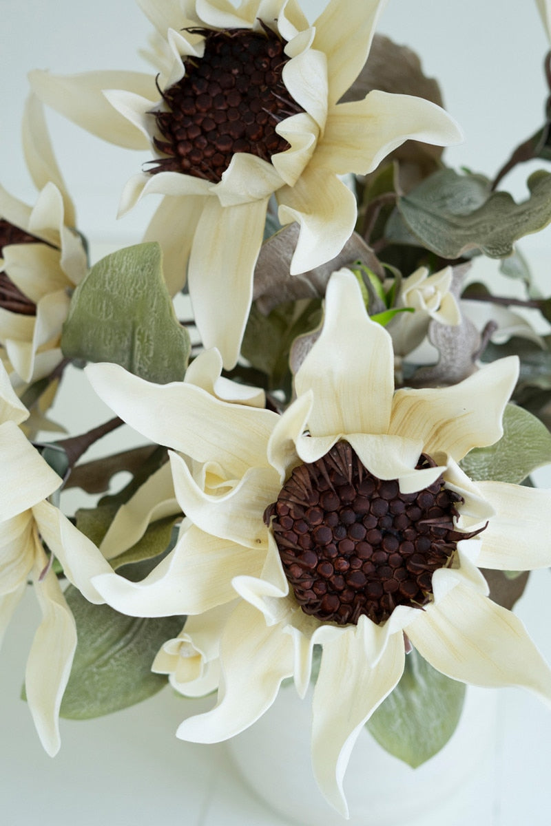 Close-up of white flowers with brown centers on a light background