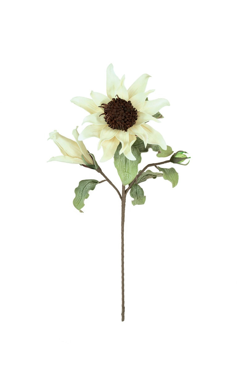 Botanica #2797 (Box of 6)