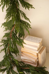 Stack of books next to an artificial evergreen branch on a neutral background