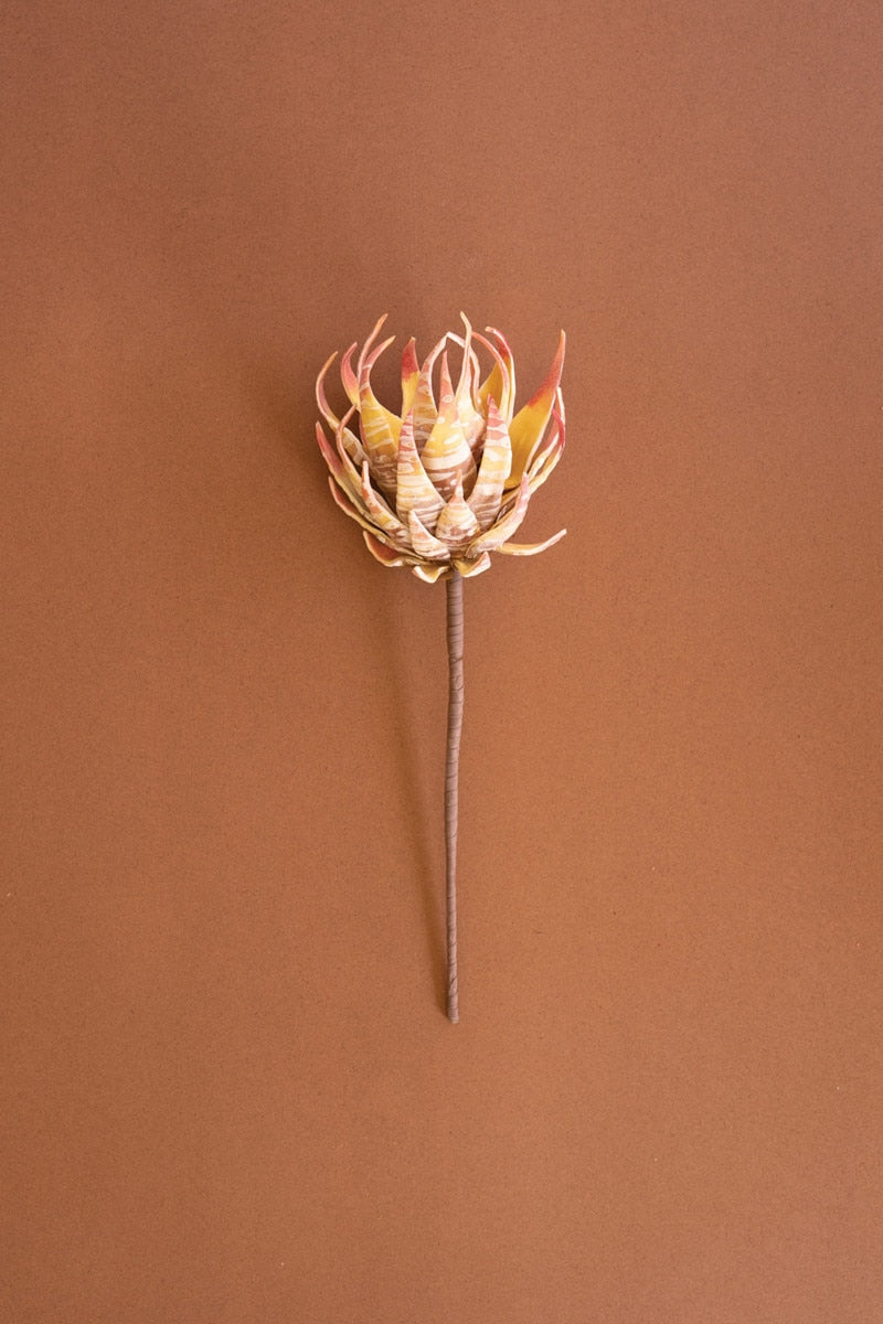A dried artificial protea-inspired stem flower with layered cream, orange and brown petals, mounted on a long brown stem against a solid warm brown background.