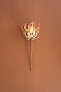 A dried artificial protea-inspired stem flower with layered cream, orange and brown petals, mounted on a long brown stem against a solid warm brown background.