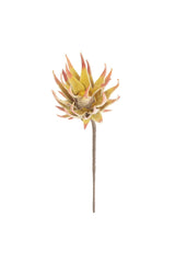 Botanica #2855 (Box of 6)