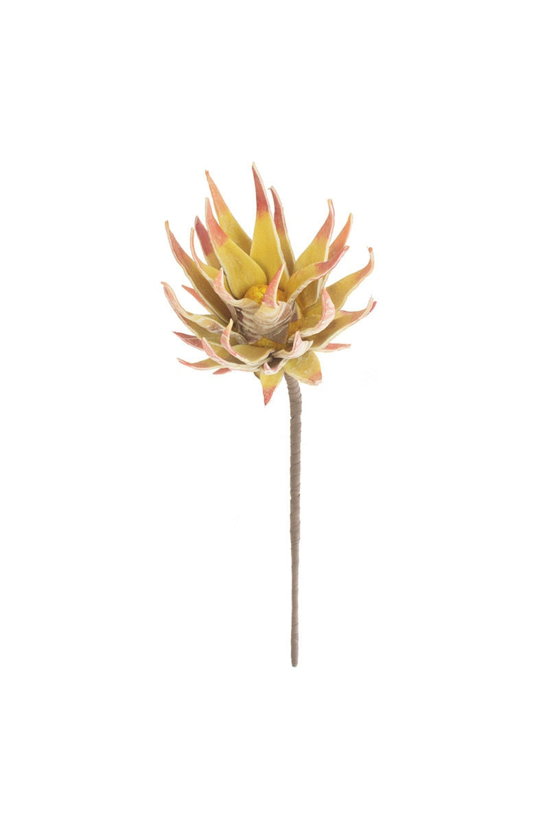 Botanica #2855 (Box of 6)
