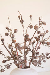 Decorative arrangement of branches with small brown fruits in a white vase against a light background