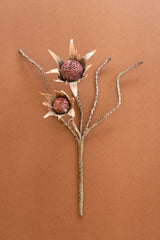 Botanica #2882 (Box of 6)