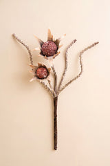 Botanica #2882 (Box of 6)