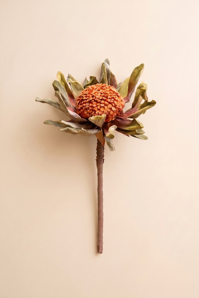 A single dried protea flower stem with a textured orange-brown center and muted olive-green and brown leaves, photographed against a plain warm beige background.