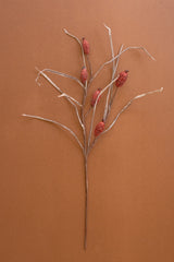 Botanica #2886 (Box of 6)
