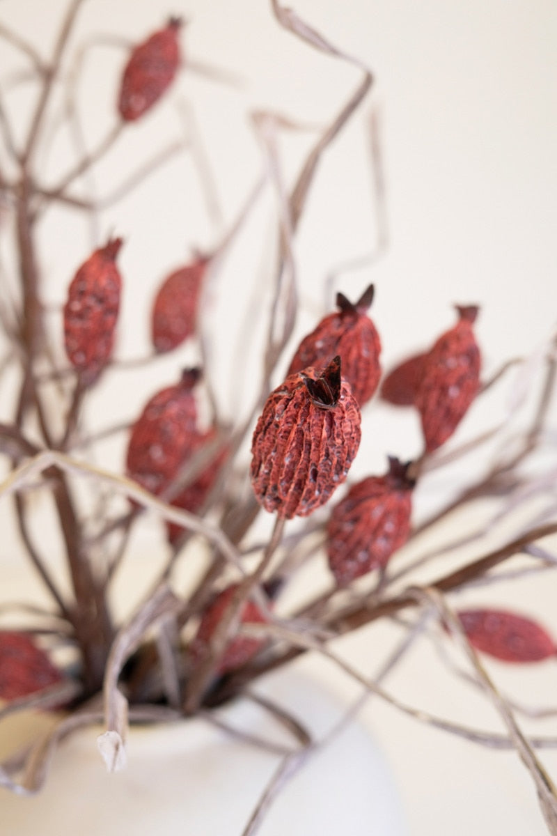 Botanica #2886 (Box of 6)