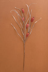 Botanica #2886 (Box of 6)