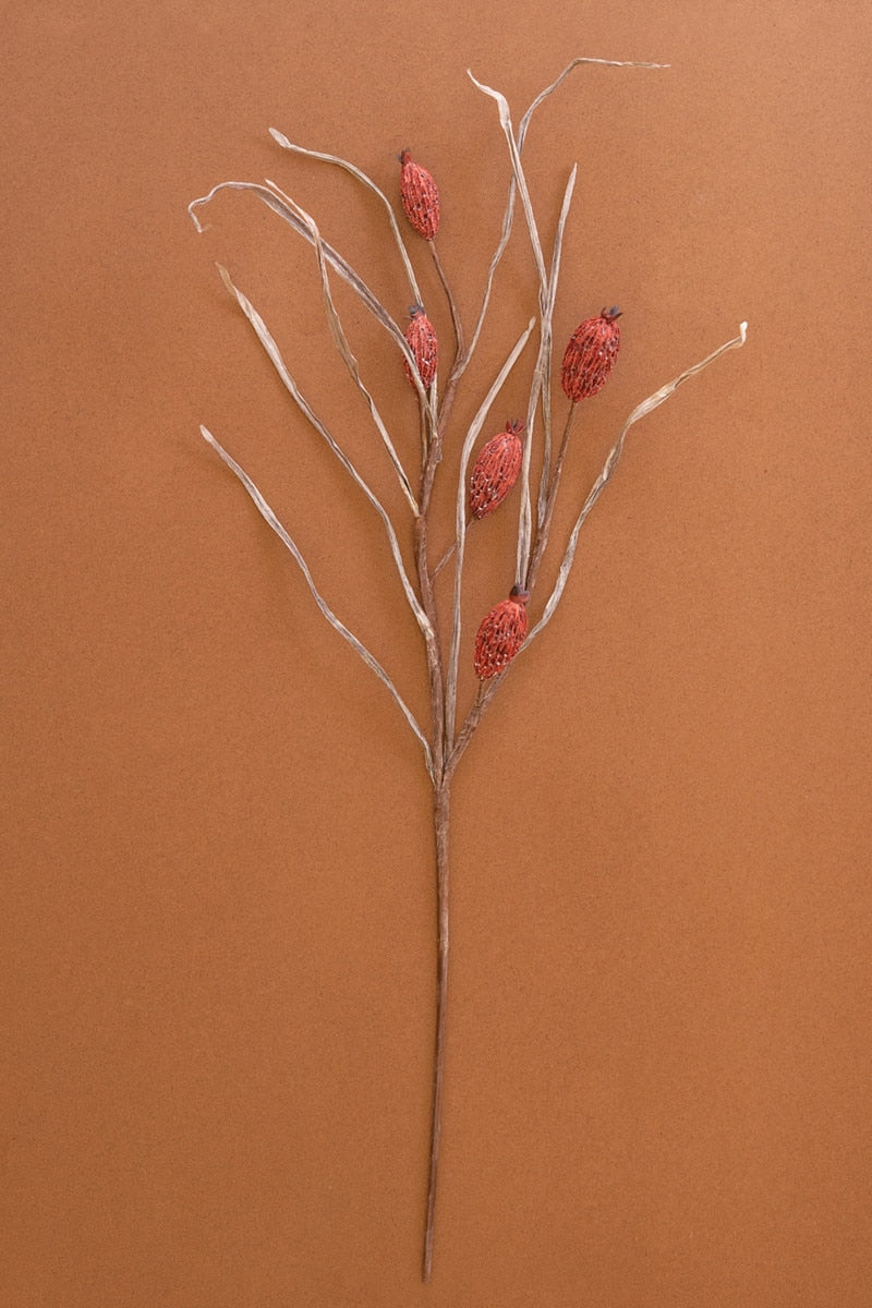 Botanica #2886 (Box of 6)