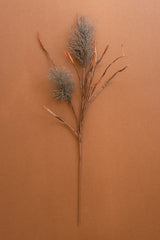 Botanica #2887 (Box of 6)
