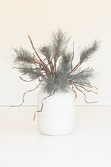 Botanica #2887 (Box of 6)