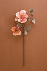 Botanica #2889 (Box of 6)