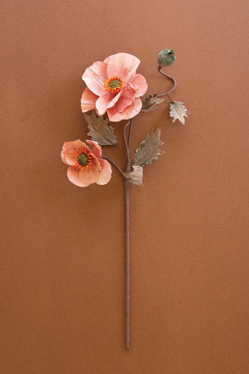 Botanica #2889 (Box of 6)