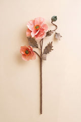 Botanica #2889 (Box of 6)