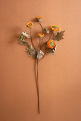 Botanica #2890 (Box of 6)