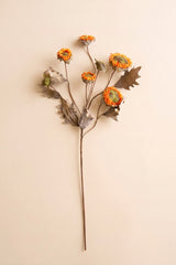 Botanica #2890 (Box of 6)