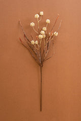 Botanica #2892 (Box of 6)