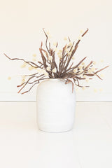 Botanica #2892 (Box of 6)