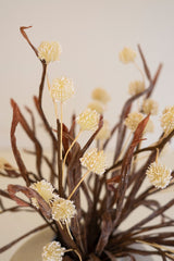 Botanica #2892 (Box of 6)