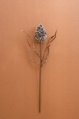 Botanica #2893 (Box of 6)