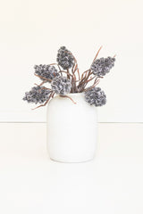 Botanica #2893 (Box of 6)