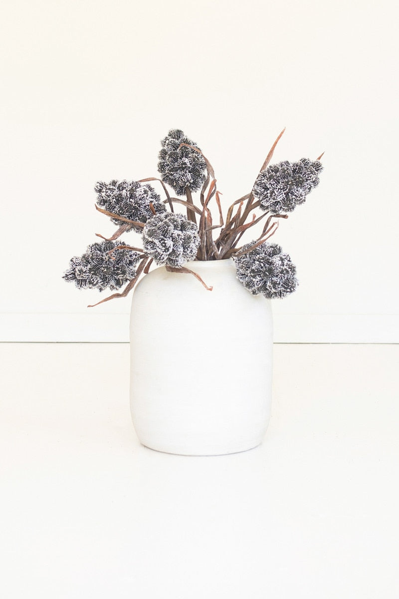 Botanica #2893 (Box of 6)